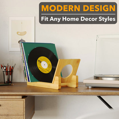 SpaceAid vinyl record organizer