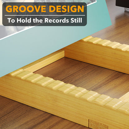 SpaceAid vinyl record organizer